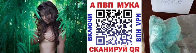 Alpha-PVP СК КРИС  как найти   Таруса 
