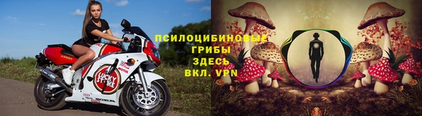 спиды Алзамай